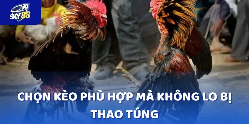 Dễ dàng so sánh, lựa chọn kèo phù hợp mà không lo bị thao túng 